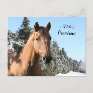 God jul häst helg vykort
