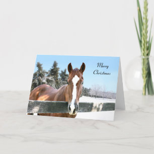 God jul häst helgkort
