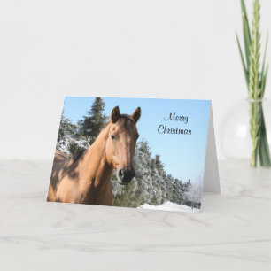 God jul häst helgkort