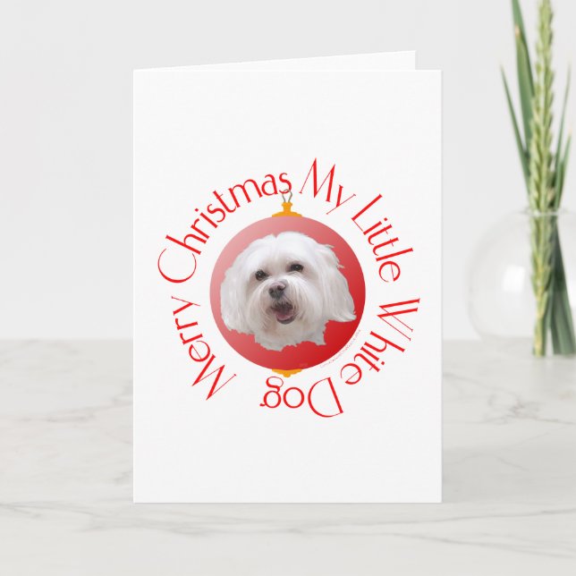 God jul Havanese Helgkort (Framsida)