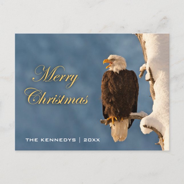 God Jul - Havsörn sitter på gren Helg Vykort (Framsida)