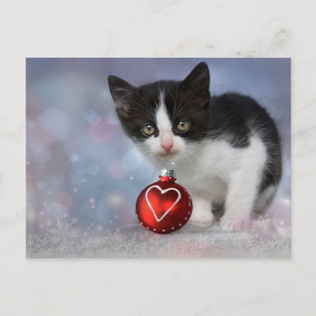 God Jul Heart Kitten Helg Vykort (Framsida)