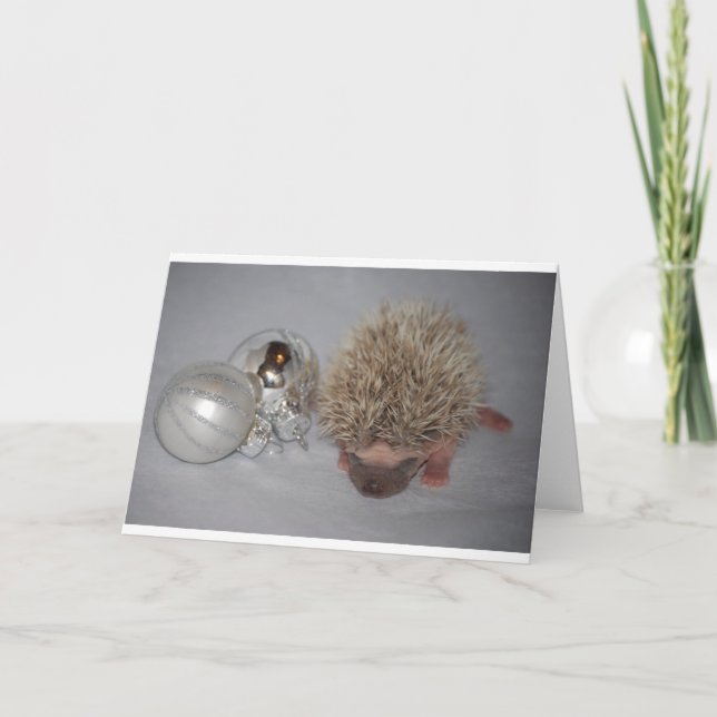 God jul Hedgehog Helgkort (Framsida)