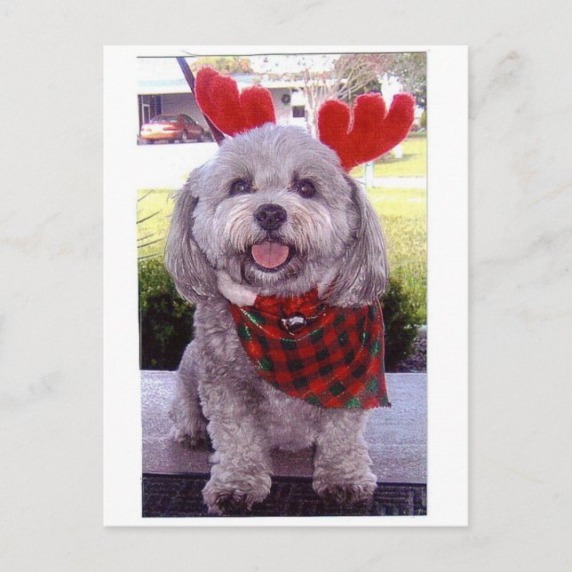 God jul helg vykort (Framsida)