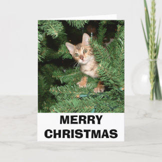 GOD JUL HELGKORT