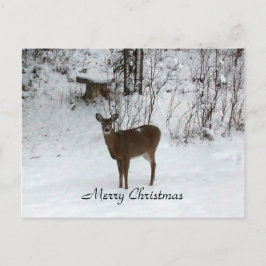 God jul Hjort Helg Vykort