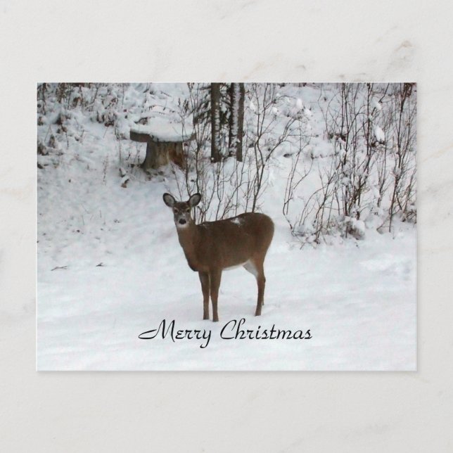 God jul Hjort Helg Vykort (Framsida)