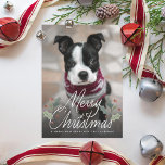 God jul Holly Hand Lettering Photo Julkort<br><div class="desc">Nostalgisk vintage stil holly med handskriften "god jul" över fullt utfallsfoto. Lägg till fler foton på baksidan om du vill.</div>