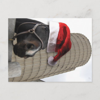 God jul Horse med Santa Hat Helg Vykort