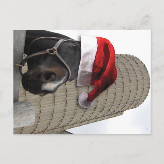 God jul Horse med Santa Hat Helg Vykort (Framsida)