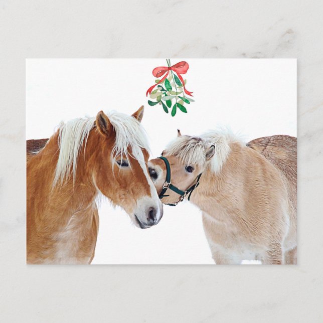 God jul Horse Mistletoe Equine Cute Ponies Helg Vykort (Framsida)