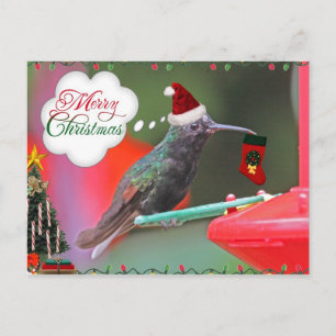 God jul Hummingbird Helg Vykort