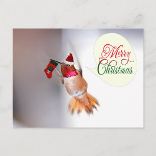 God jul Hummingbird med Julafton Stocking Helg Vykort