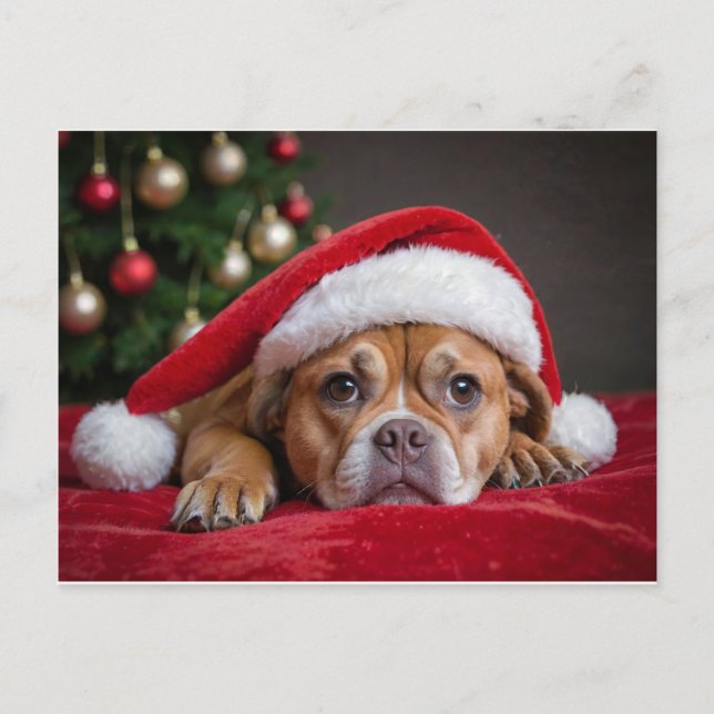 God jul Hund Helg Vykort (Framsida)