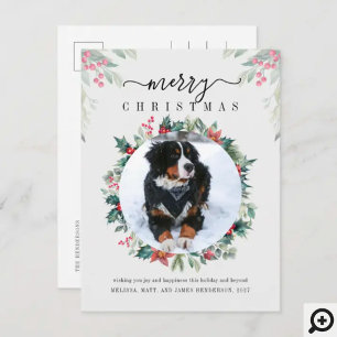 God jul Hund Photo Mistletoe Helg Vykort