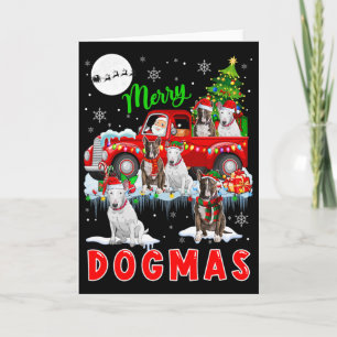 God jul Hund Santa Carshing Bull Terriers on PIC Kort