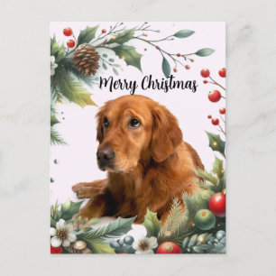 God Jul Hundälskare Golden Retriever Vykort