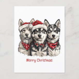 God jul Husky Hundar Helg Vykort