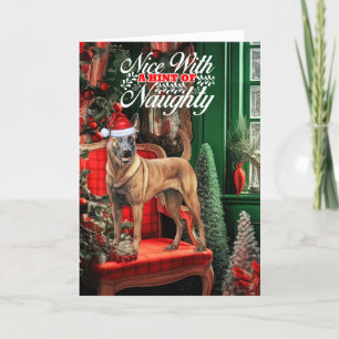 God jul i Belgien Malinois Hund Naughty eller Nice Helgkort