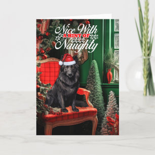 God jul i Belgien, Sheepdog Naughty eller Nice Helgkort