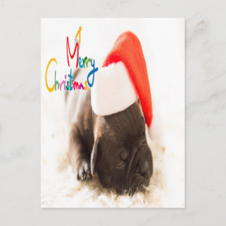 God jul i Cute sov valp Vykort