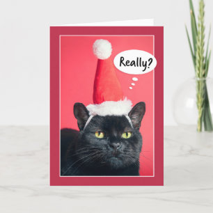 God Jul Irriterad Katt i Tomtehatt Humor Helgkort