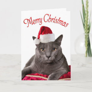 God jul, julkort för katt helgkort