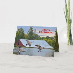 God jul Kanada Geese Landing på dammen Helgkort