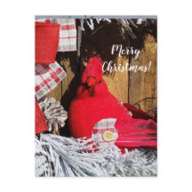 God jul Kardinal