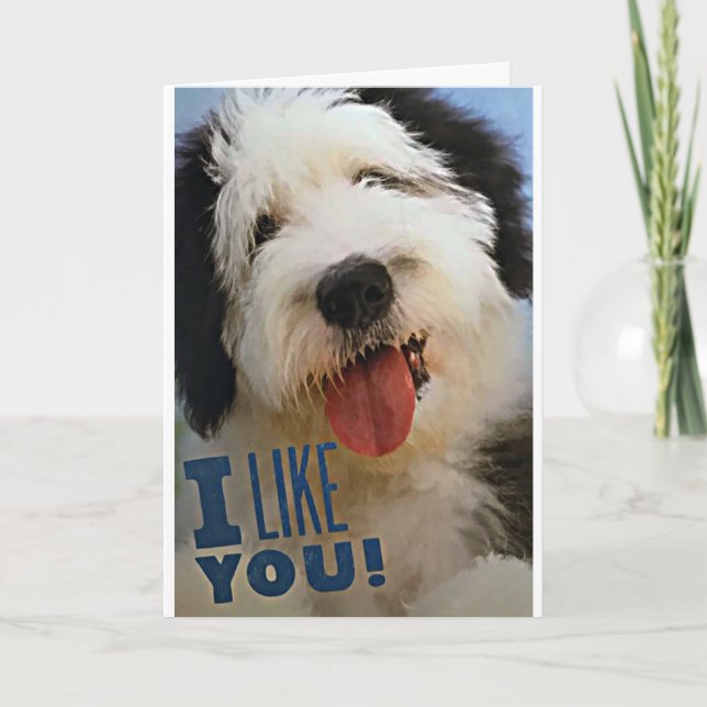 ***GOD JUL*******KÄRLEK DU** & **LIKSOM DU** KORT (Framsida)