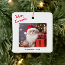God Jul Katt Foto Högtid