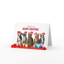 God jul Katt i julklapp