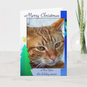 God jul, katt_Kort Helgkort
