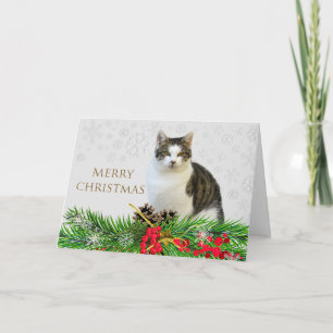 God Jul Katt med grönska Högtid Kort