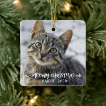 GOD JUL KATT Namn Foto