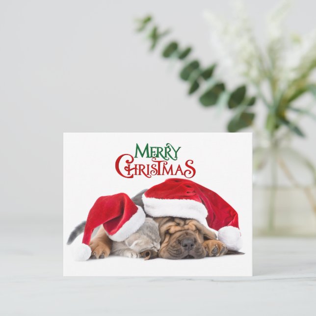 God jul, katt och hund helg vykort (Stående Fram)