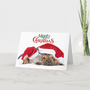 God jul, katt och hund helgkort