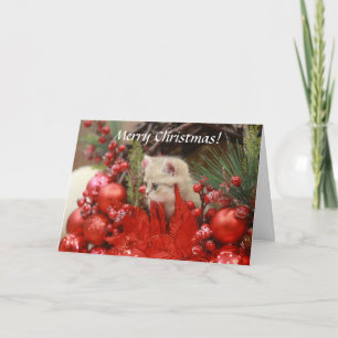God jul Kattunge anpassa ditt Hälsning Ho Helgkort