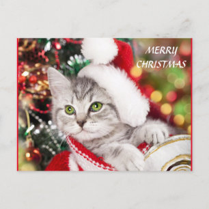 God jul Kitten Vykort