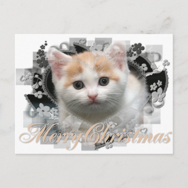 God jul Kitten - vykort för Helgdag (Framsida)