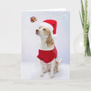 God Jul. Kort