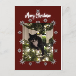 God jul kort med Tuxedo-katt på min träd.