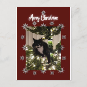 God jul kort med Tuxedo-katt på min träd.