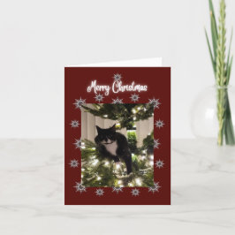 God jul kort med Tuxedo-katt på min träd.
