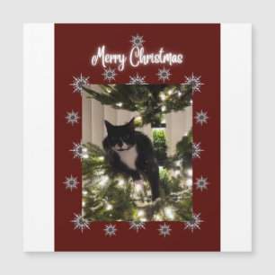 God jul kort med Tuxedo-katt på min träd.