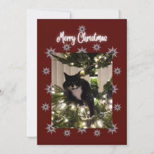 God jul kort med Tuxedo-katt på min träd.