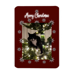 God jul kort med Tuxedo-katt på min träd. Magnet
