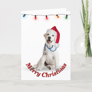 God jul Labrador Retriever Doktor Kort