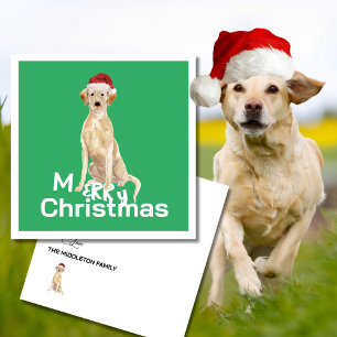 God jul Labrador Retriever Hund Merry Hälsning