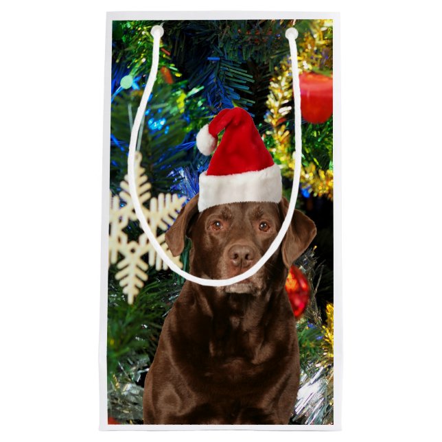 God jul Labrador Retriever Hund Santa Hat (Framsidan)